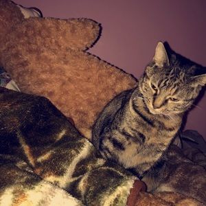 Meet your Posher, Lanie